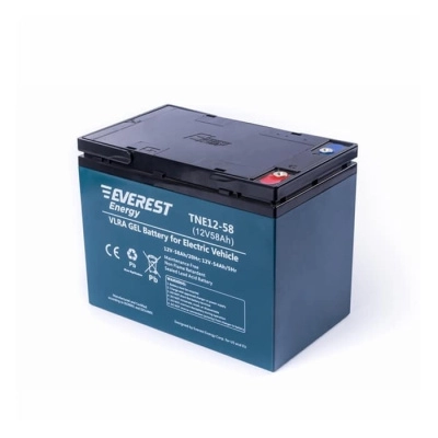 Тяговый аккумулятор Everest energy tne 12-58 